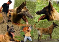 /album/fotogaleria/celidasweethome-jpg/