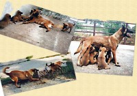 /album/fotogaleria/d-sweethome-jpg1/